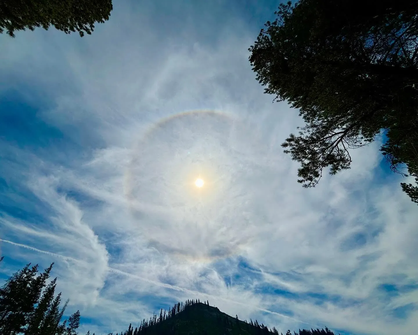 A ring of light around the sun above a forested ridge